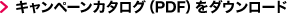 PDFダウンロード